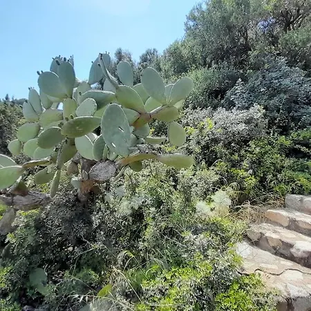 別荘 Del Nuraghe With Fantastic Sea View