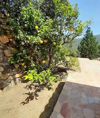 Casa vacanze Del Nuraghe With Fantastic Sea View