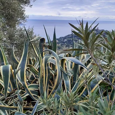 Del Nuraghe With Fantastic Sea View Casa vacanze