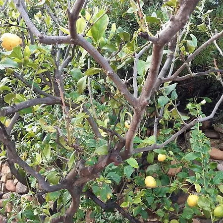 Del Nuraghe With Fantastic Sea View