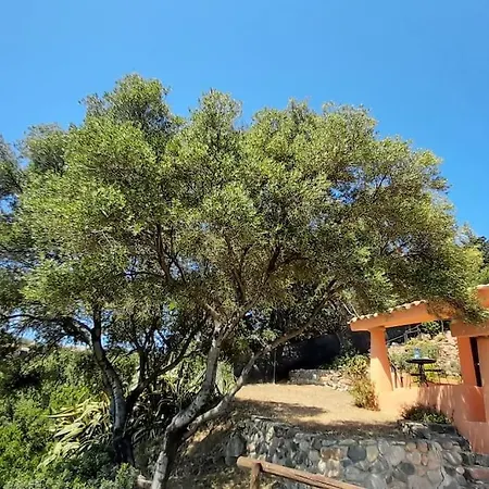 Del Nuraghe With Fantastic Sea View Prázdninový dům *