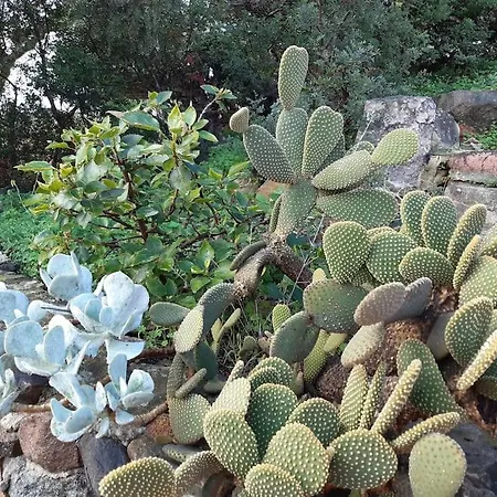 Casa vacanze Del Nuraghe With Fantastic Sea View