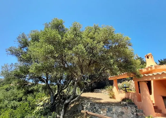 Del Nuraghe With Fantastic Sea View Nyaraló *